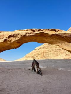 Wadi Rum Oday Luxury Camp - 4