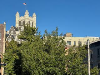 Large and Luxurious in Strivers Row - 2