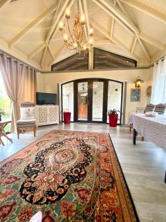 Villa - Riviera Nistreana - 6