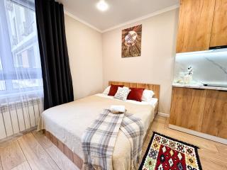 Urban studio for 4 person in Almaty - 9