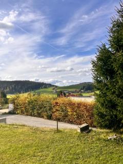 Chalet authentique au cœur du Mont d'Or - 8