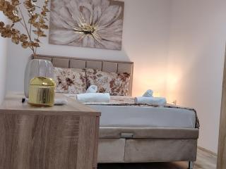 Relax Apartmani Niš - 8