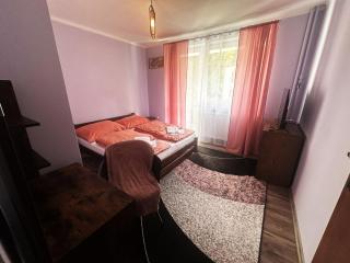 Wypoczynek Między Świerkami - 6