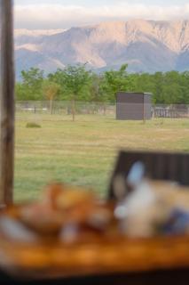 Aires de Paz - Las Calles - 8