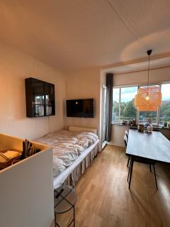 1 bedroom apartment, Trøjborg - 7