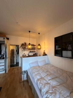 1 bedroom apartment, Trøjborg - 6