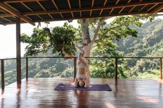 Paraiso Ahimsa - 4