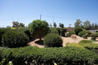 Beachfront Lagonisi Apt 1 Minute From Grand Resort - 2