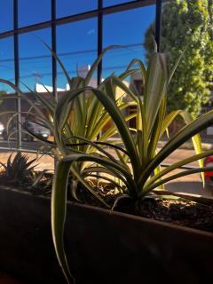 Depto Boutique Chivilcoy - 9