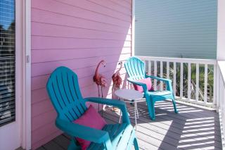 The Pink Flamingo - 5