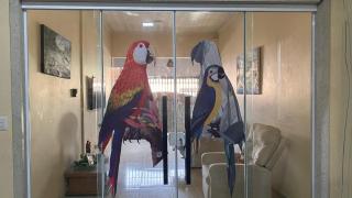 Casa alegria de viver - 6