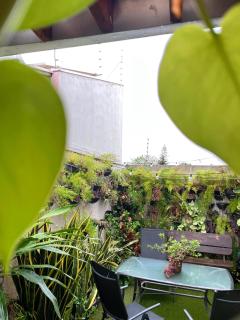 Hostel Recanto Verde - 3