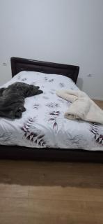 Blert's apartment in Gjakova - 2