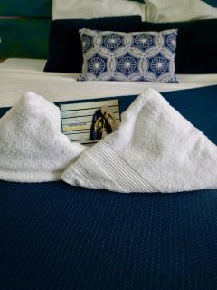 Studio au soleil, plage privée - 6