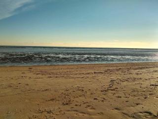 Tranquil Retreat near Beach - By Traum Ferienwohnungen - 6
