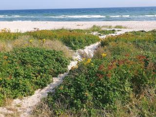 Seaside Sanctuary with Whirlpool-By Traum - 2