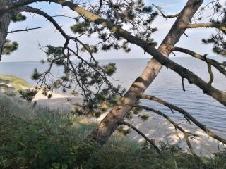 4 person holiday home in Rømø-By Traum - 2