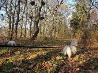 6 person holiday home in Toftlund-By Traum - 2