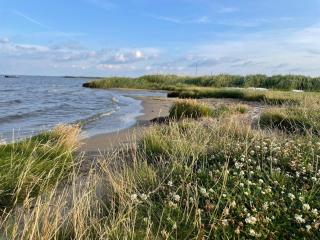 8 person holiday home in Ulfborg-By Traum - 2