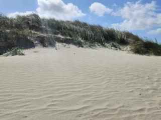 6 person holiday home in Fanø-By Traum - 6