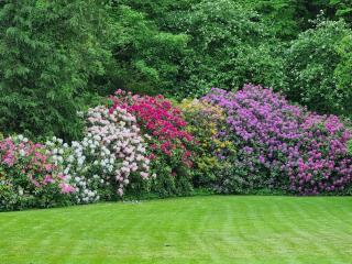 5 person holiday home in Højer-By Traum - 2