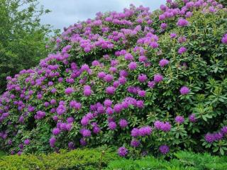 5 person holiday home in Højer-By Traum - 3