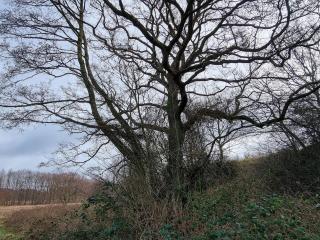 4 person holiday home in Ebeltoft - 1