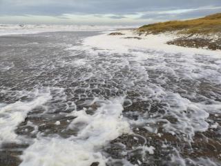 6 person holiday home in Hirtshals-By Traum - 2