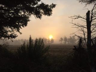 8 person holiday home in Ulfborg-By Traum - 3