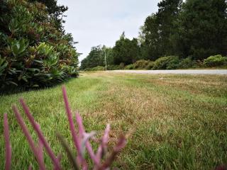 6 person holiday home in Læsø-By Traum - 3