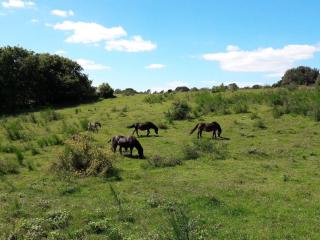6 person holiday home in Ebeltoft - 1