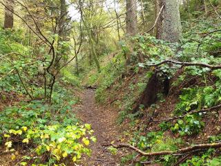 6 person holiday home in Ebeltoft - 2