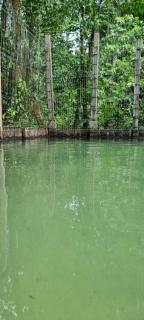 Sitio na floresta px a Belém - 0