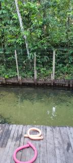 Sitio na floresta px a Belém - 9