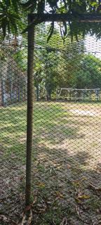 Sitio na floresta px a Belém - 6