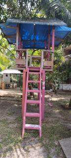 Sitio na floresta px a Belém - 5