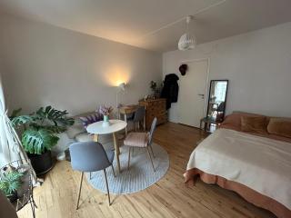 Cozy and beautiful studio in the heart of Copenhagen - 9