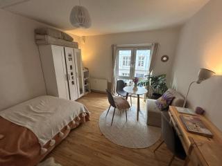 Cozy and beautiful studio in the heart of Copenhagen - 2
