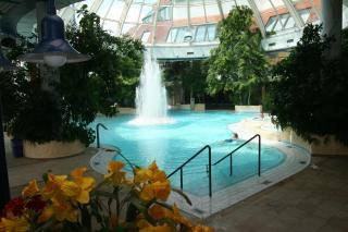 Vital Hotel Westfalen Therme Wellness Resort & SPA - Bad Lippspringe - 4