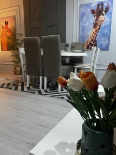 Petars apartment - 9