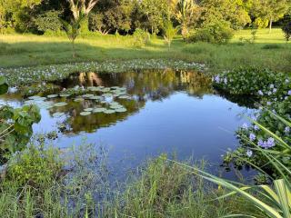 La Casita at Ankobra Farm - 3
