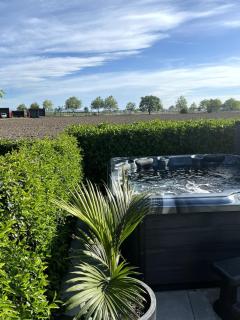 Pool, Spa pool, Private, Modern, Clive! - 0