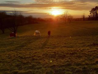 Apartment in Herbolzheim - 7