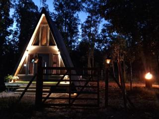 Alpinas del bosque - 0