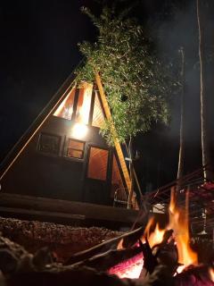 Alpinas del bosque - 9