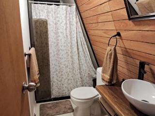 Alpinas del bosque - 6