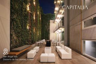 Capitalia Calm Suite Near Frida Museum with Gym - 6