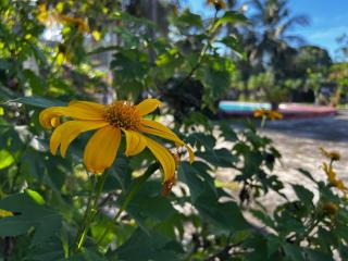 Apartamento, piscina, natureza e sossego - 2