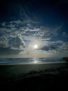 Paradise Beach House, nature and comfort! - 4