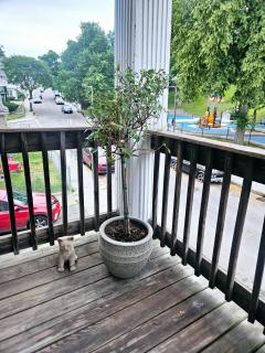 Cozy Classic With Queen Size Bed - 9